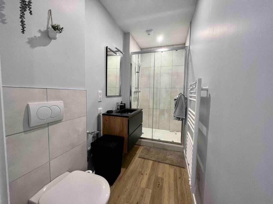 Appartement Climatise 4 Personnes / Centre-Ville Besançon Esterno foto